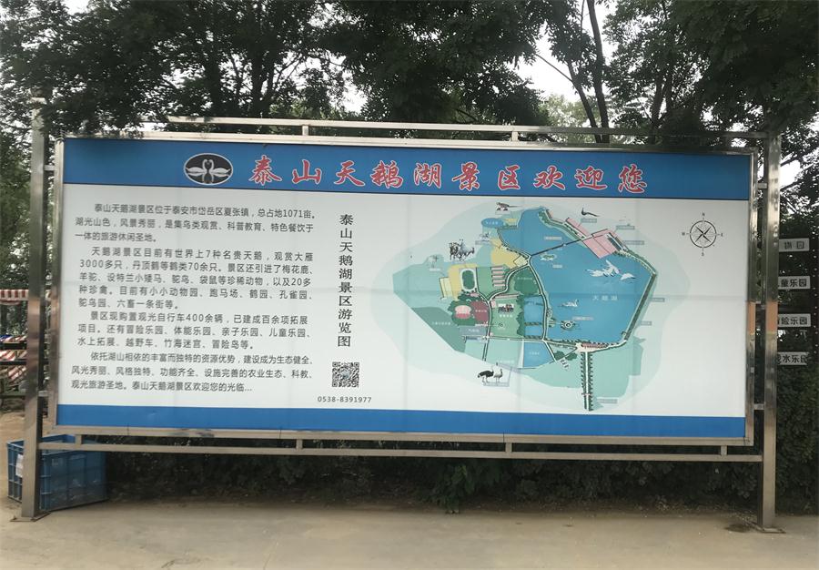 天鵝湖風(fēng)景區(qū)（泰山）速覽！(圖2)