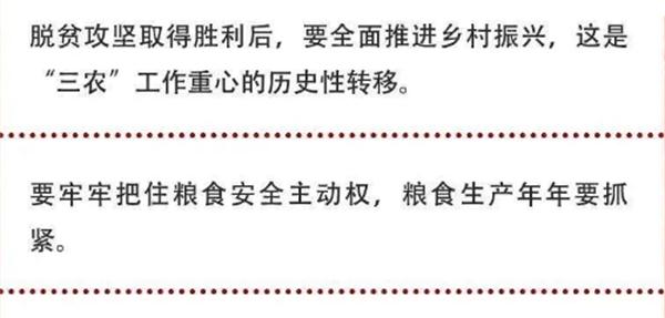 2020年中央農(nóng)村工作會議精神速覽！(圖2)